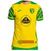 Oficiální Fotbalový Dres Norwich City Domácí 2021-22 pro Muži